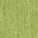 Линолеум Tarkett iq Optima GREEN 0861  | FLOORDEALER